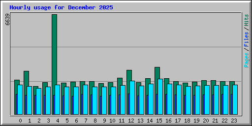 Hourly usage for December 2025