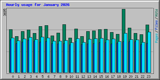 Hourly usage for January 2026